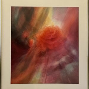 Red Rose